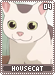 housecat04