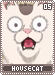 housecat05