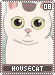 housecat08