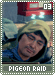 pigeonraid03