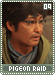 pigeonraid09
