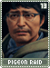 pigeonraid13