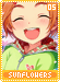 sunflowers05