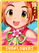 sunflowers15