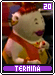 termina20