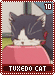 tuxedocat10