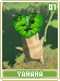 yahaha01